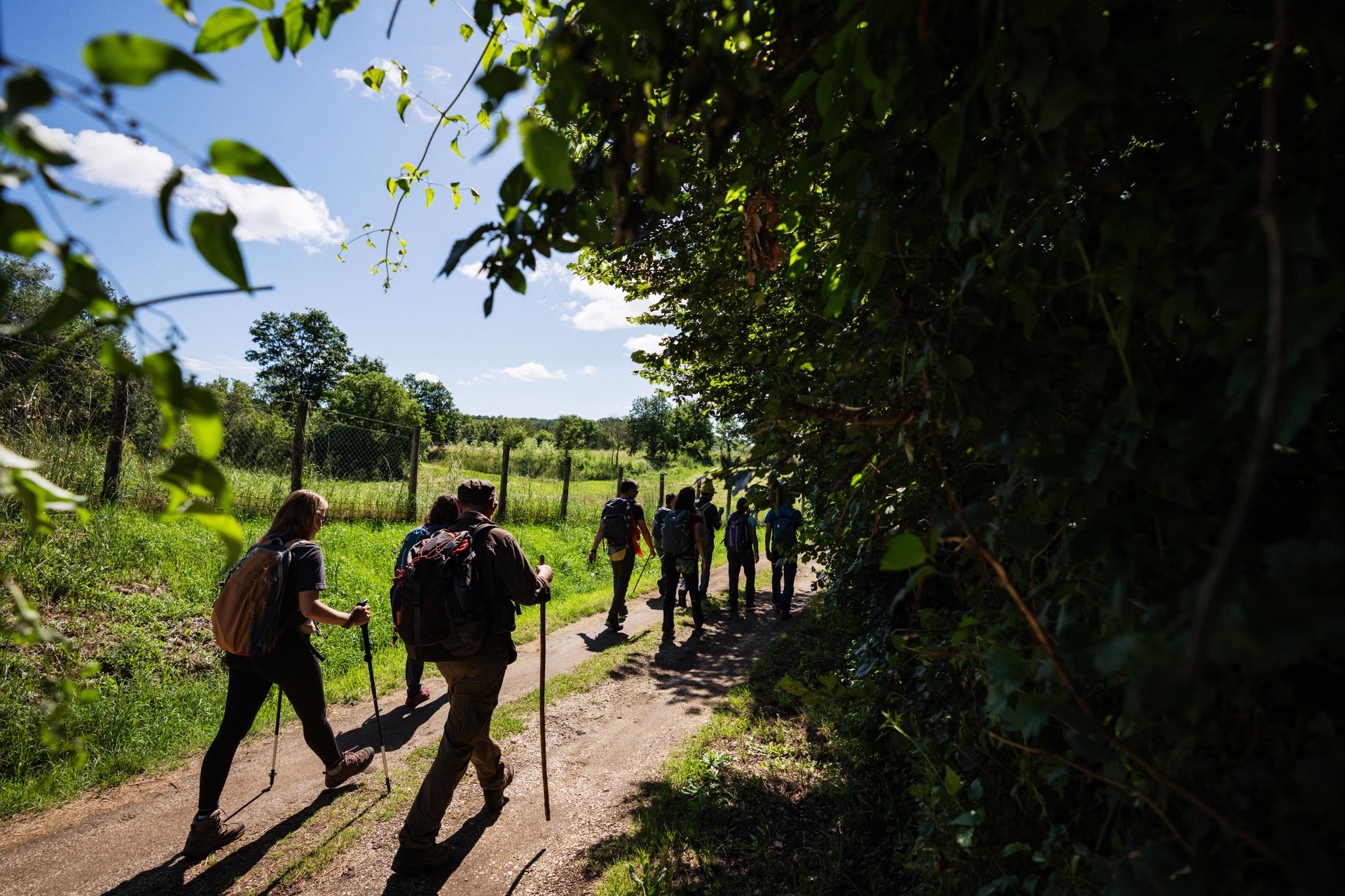 Group of hikers on the Via Francigena trail