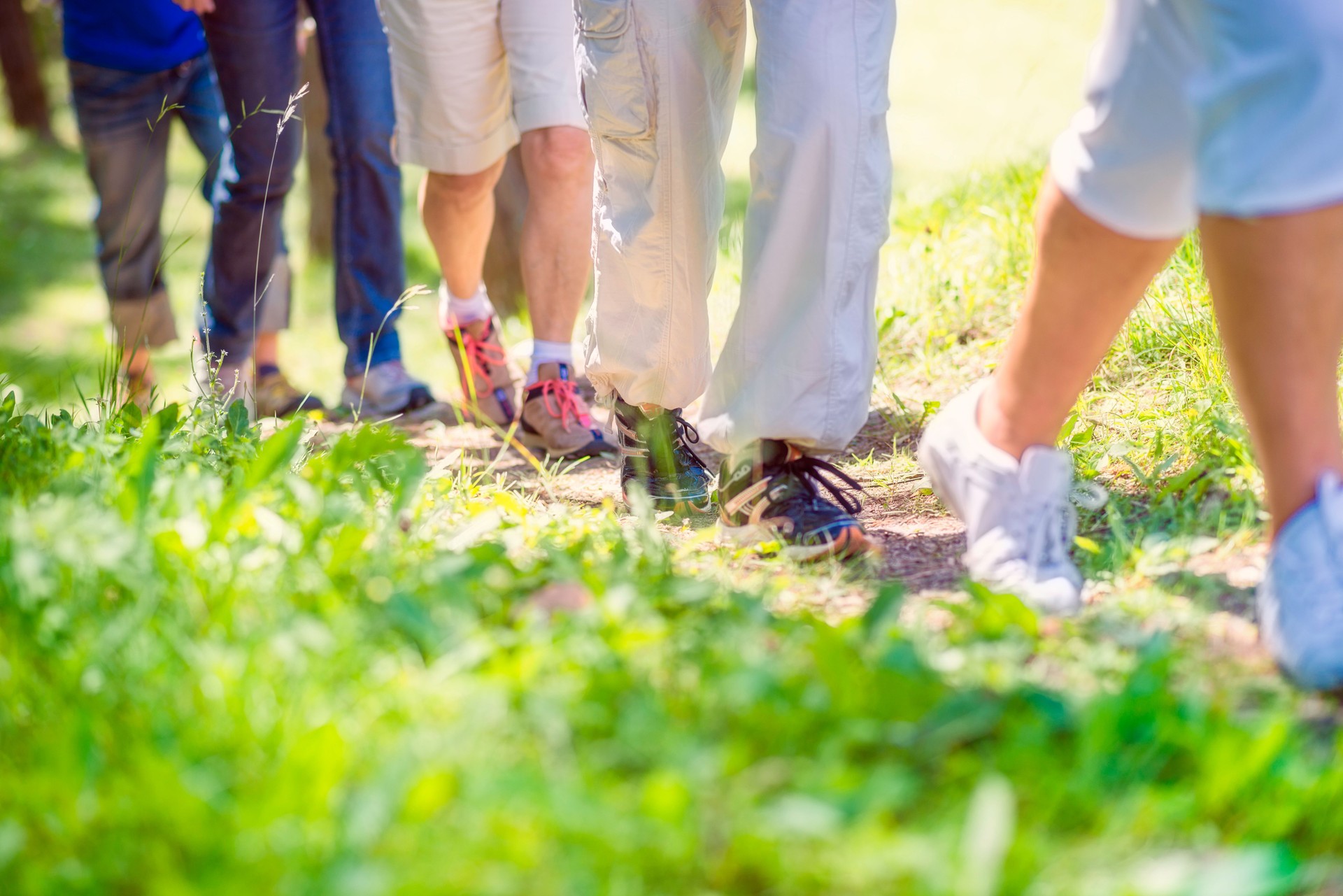 Over 50 walking events per year !!