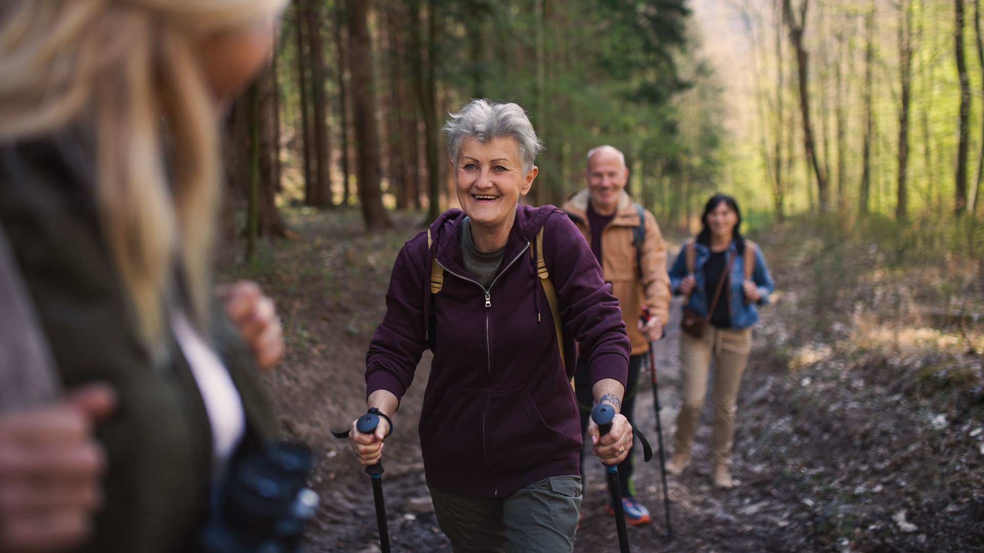 Group, walking in the St Albans Countryside
